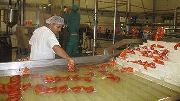 Unidad Empresarial de Base Industrial Ceballos