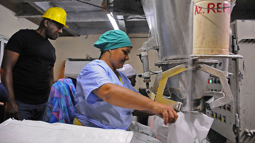 Mujer trabajando