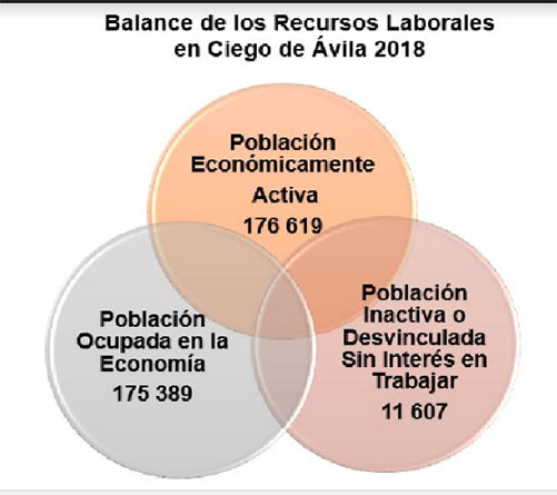  grafico