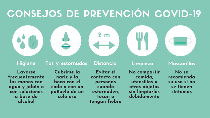  grafica