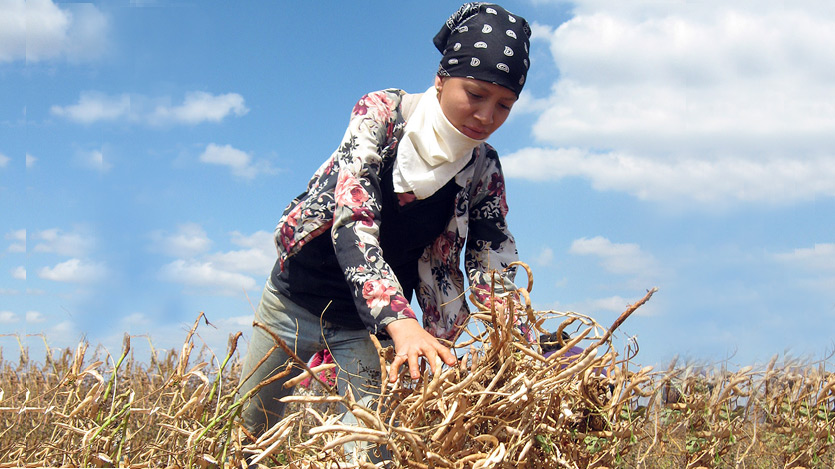 Mujer trabajando