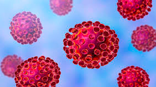  coronavirus