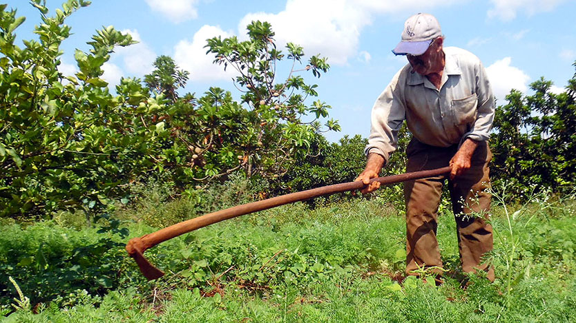 campesino