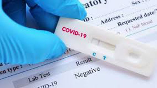 kits para detección rápida de COVID-19