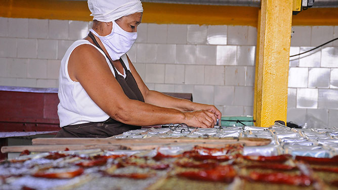 inter produccion alimentos mujer