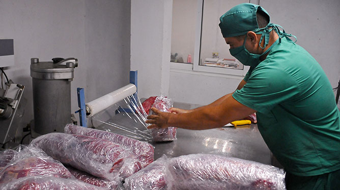 inter produccion alimentos