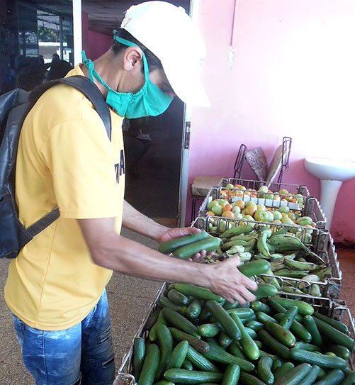  hombre comprando pepinos