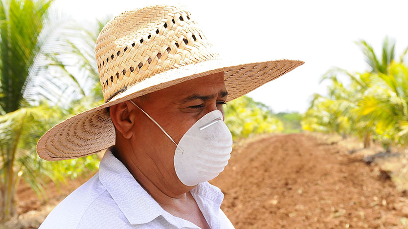 campesino