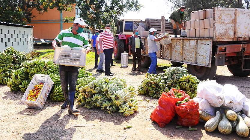 cooperativistas y campesinos donaron alimentos 