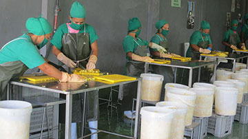 Empresa Agroindustrial Ceballos