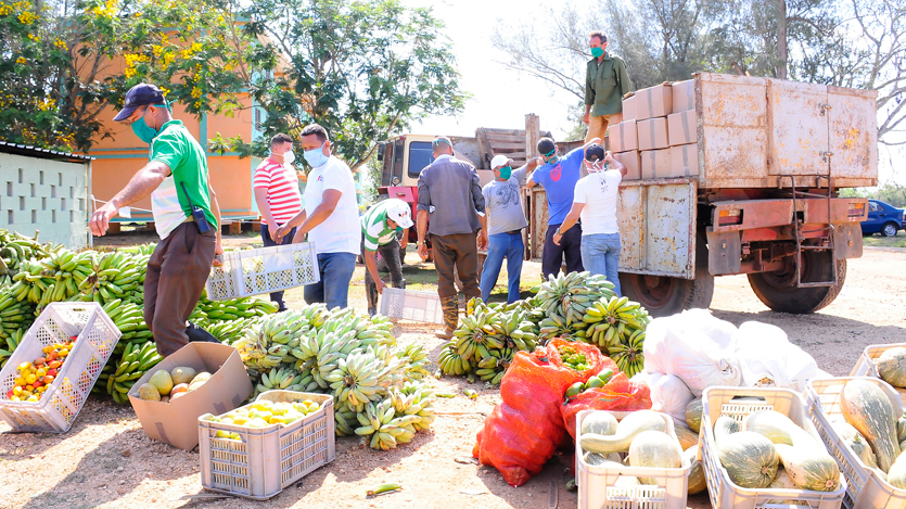 Donación de alimentos