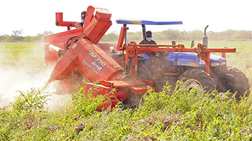 Producción de alimentos