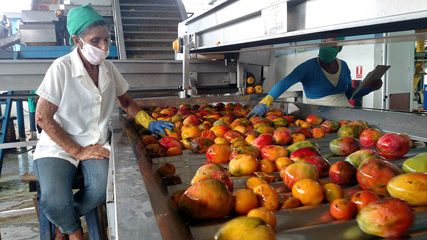 Fábrica de Conservas Majagua
