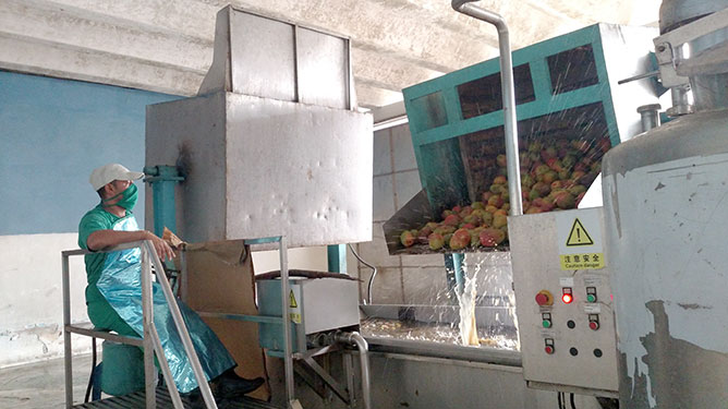 Fábrica de Conservas Majagua