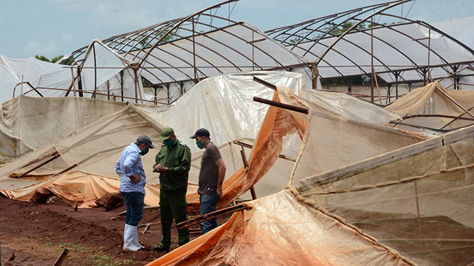 casas de cultivo