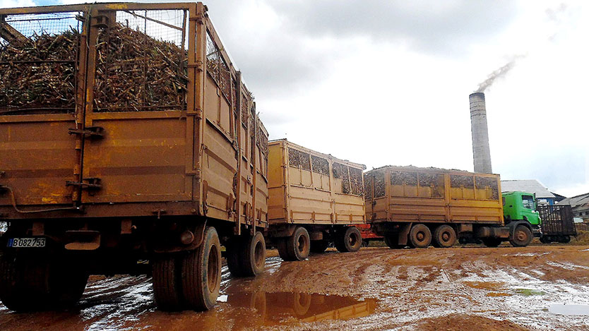 transporte con caña