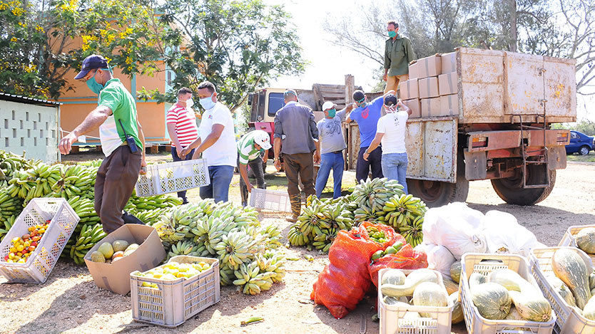 donación de alimentos