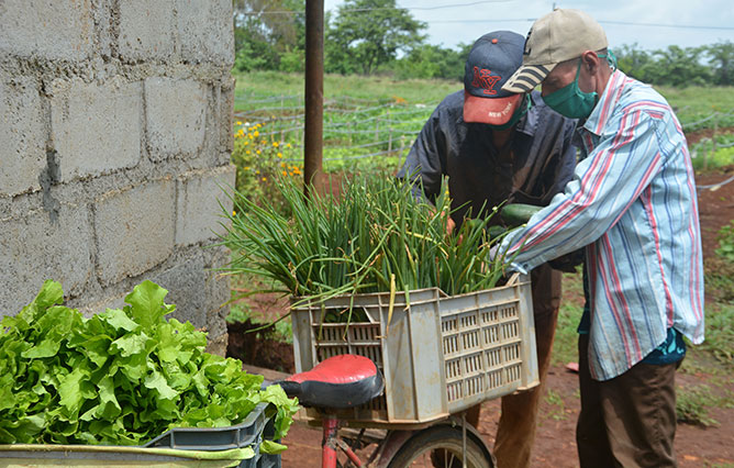 hermanos agricultura