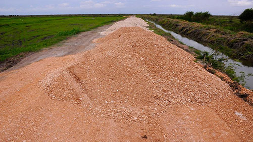  camino