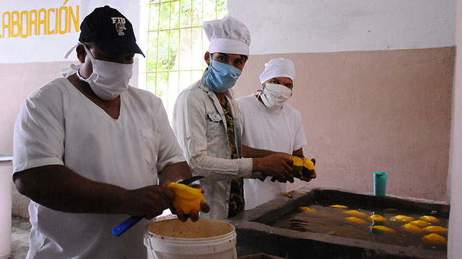  poligono de alimentos