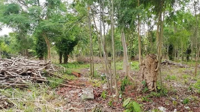 lugar donde se realizará el parque