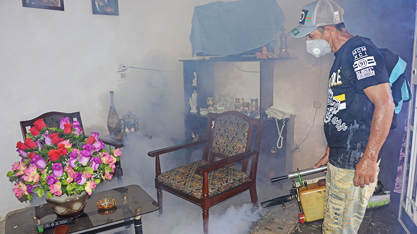 Fumigador