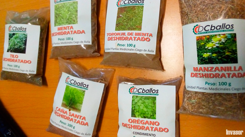 Medicina verde