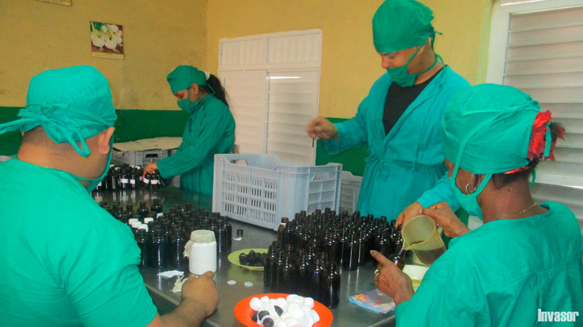 Medicina verde