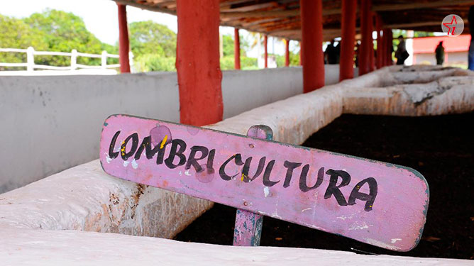 lombricultura