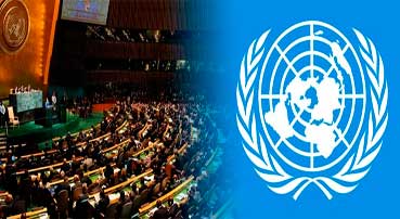 Organización de las Naciones Unidas