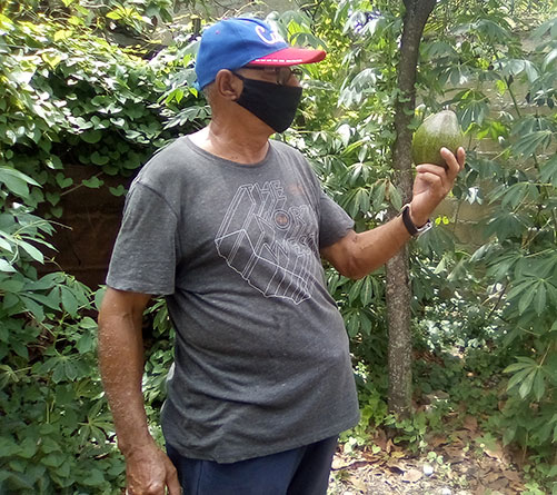 Evaristo José