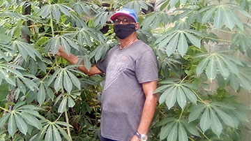 Evaristo José
