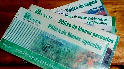  poliza