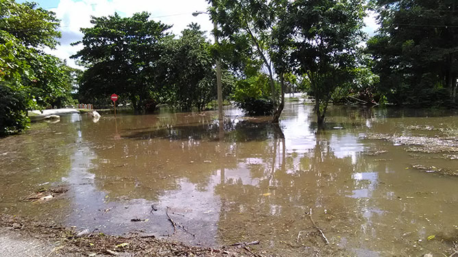parque ciudad
