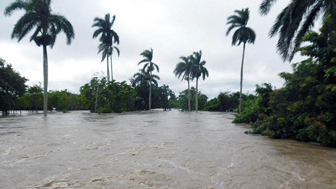 agua palmas