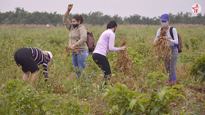 jovenes trabajando
