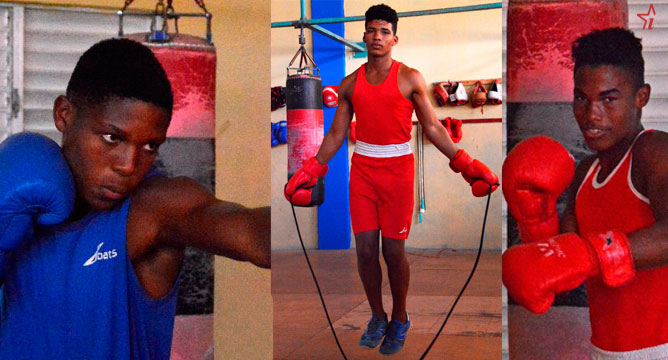 Boxeo