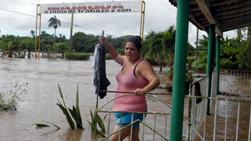 majagua 