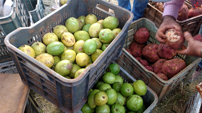 Feria fin de año