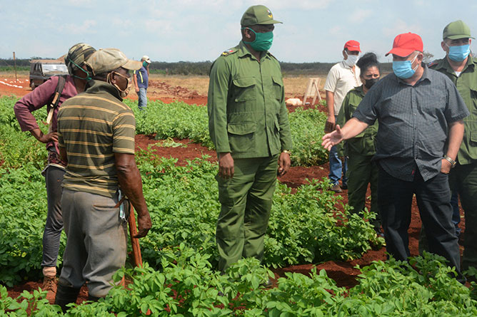 trabajadores de la Empresa Agropecuaria Arnaldo Ramírez