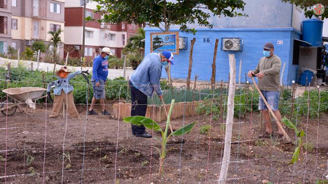 Agricultura urbana