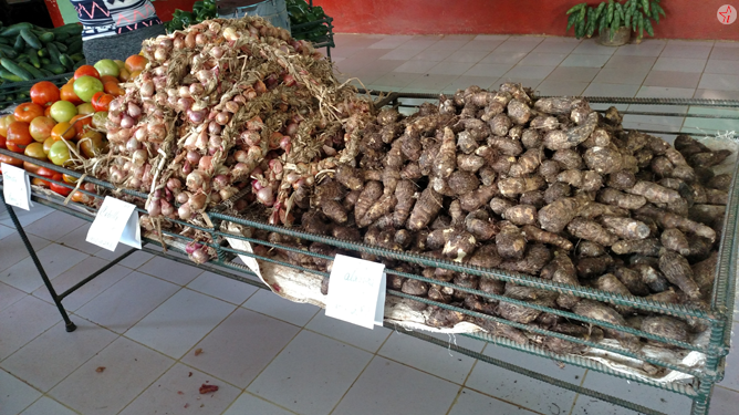 Acopio, Majagua