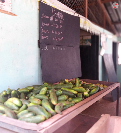 Mercados agropecuarios