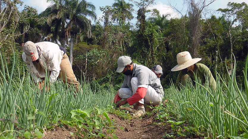 Finca El Peñón