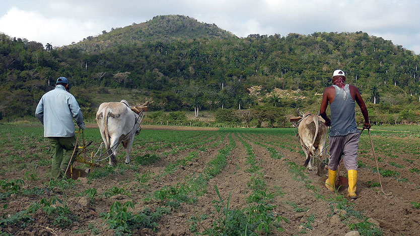 Finca El Peñón