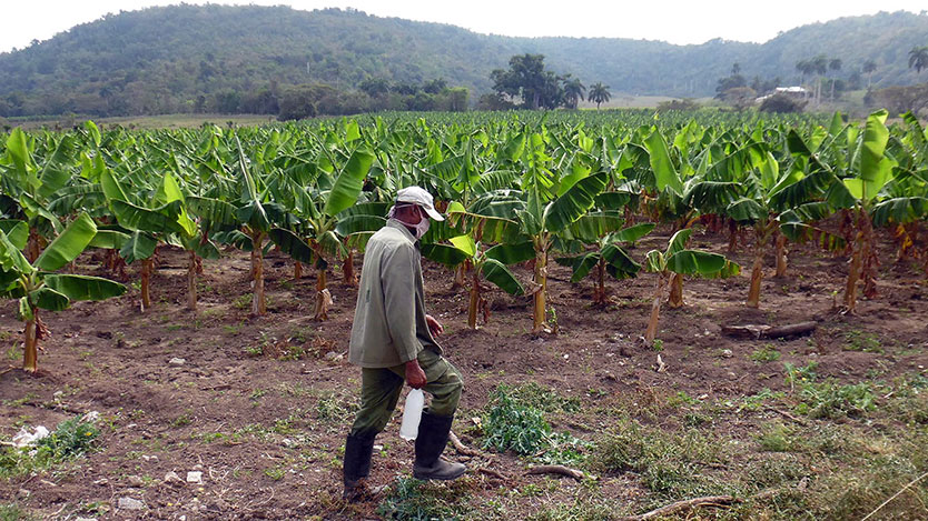 Finca El Peñón