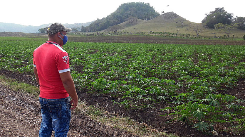 Finca El Peñón