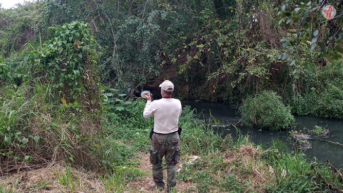 Parque Humedal