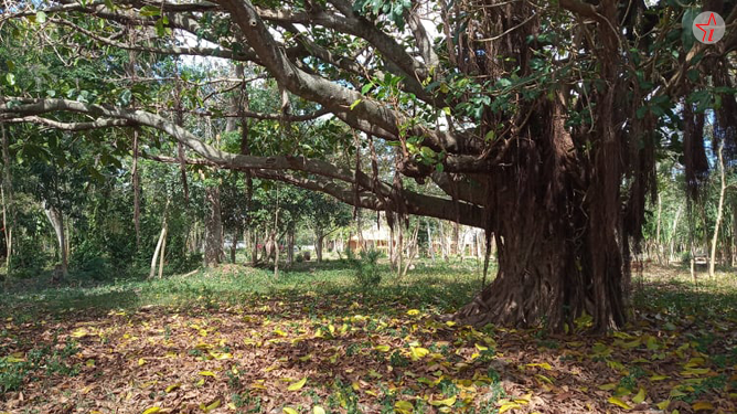 Parque Humedal