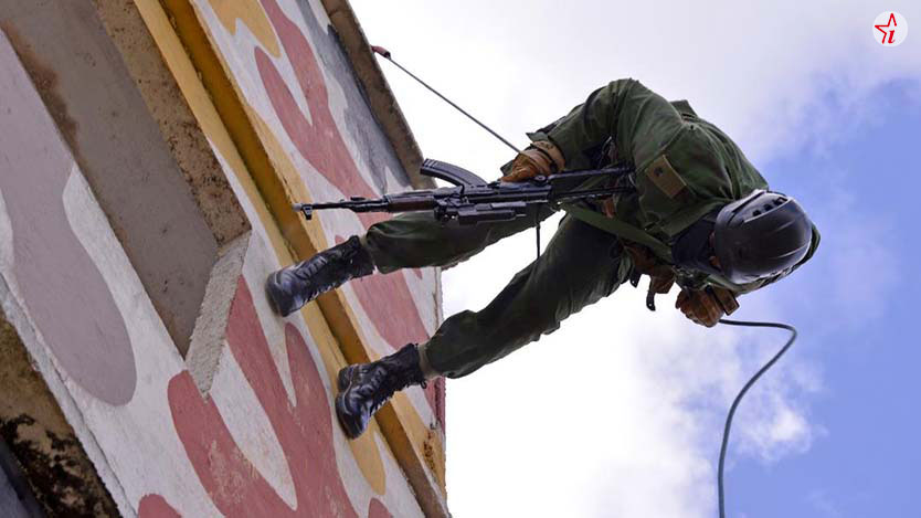 defensa 